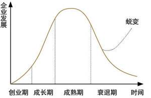 软文营销贯彻整个企业的成长周期